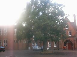 binnenplaats binnenplaats